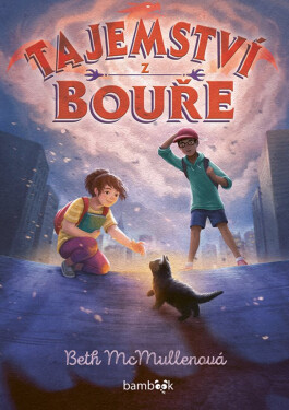 Tajemství z bouře - Beth McMullenová