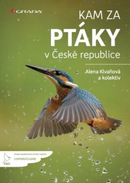 Kam za ptáky v České republice - Alena Klvaňová - e-kniha