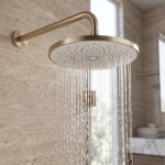 REA - Kulatá dešťová sprcha JS-021 Gold Brush REA-P0391