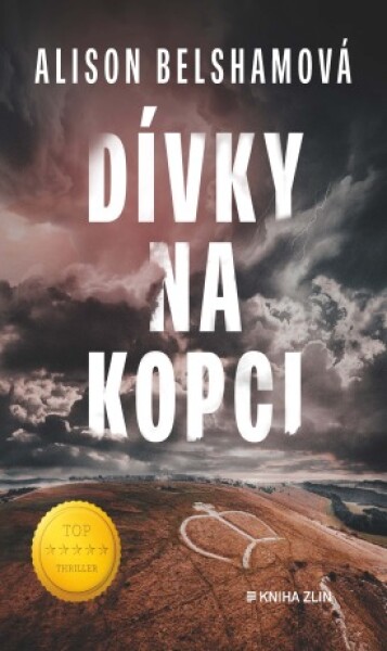 Dívky na kopci - Alison Belshamová - e-kniha