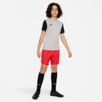 Tričko Nike Dri-Fit Tiempo Premier Jr DH8389-052 cm)