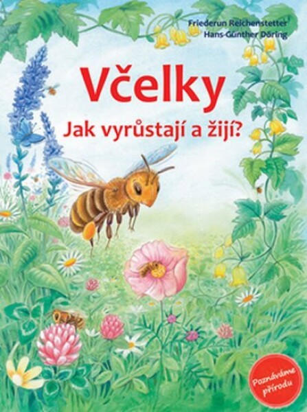 Včelky - Jak vyrůstají a žijí? - Friedrun Reichenstetterová