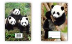Sešit (540) A5 nelinkovaný, 40l Panda/Tygr