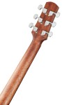 Ibanez AAD100 Natural