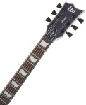 ESP LTD EC-1000FM STP