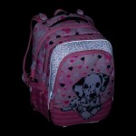 Bagmaster BETA 24 A školní batoh – dalmatin