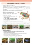 Přírodopis 7 Zoologie a botanika