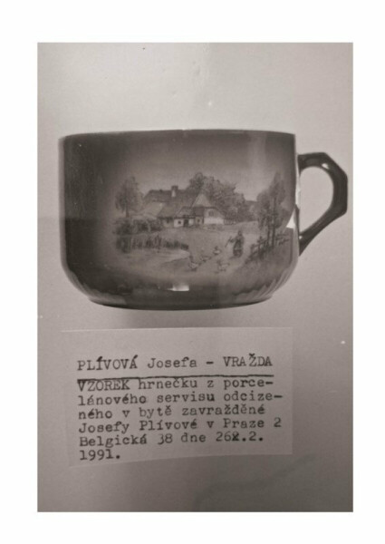 Ne každá zrůda je vrah - Josef Lottes, Ivo Michalík