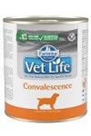 Vet Life Natural Dog konz. Convalescence 300g