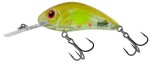 Salmo Wobler Rattlin Hornet Floating 3,5cm - Ghost Perch,Salmo Wobler Rattlin Hornet Floating 3,5cm - Ghost Perch