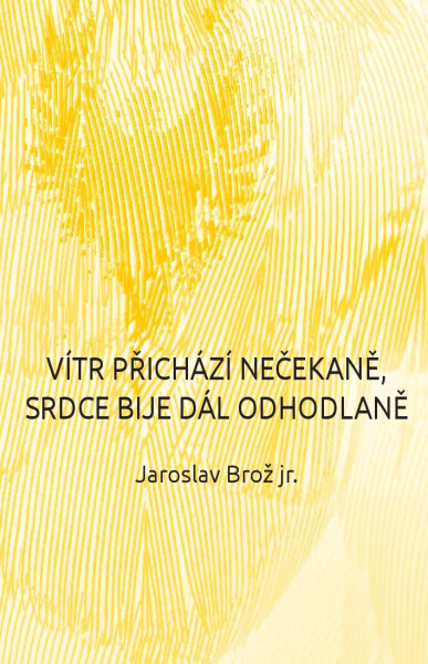 Vítr přichází nečekaně, srdce bije dál odhodlaně - Jaroslav Brož