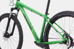 Cannondale Trail