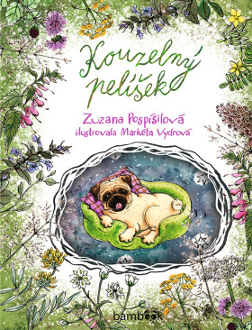 E-kniha: Kouzelný pelíšek od Pospíšilová Zuzana