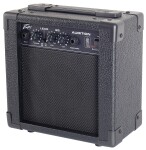 Peavey Audition