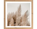 Rámovaný obraz Pampas 35x35 cm, dub artisan