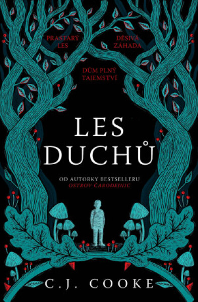 Les duchů - Carolyn Jess Cooke