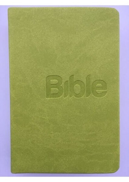 Bible, překlad 21. století (Green) - Alexandr Flek