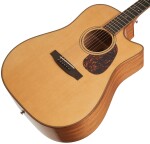 Furch Vintage 3 Dc-SM CNR Active