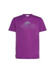 ICEBREAKER Mens Mer 150 Tech Lite SS T Ris Light, Passion (vzorek) velikost: M