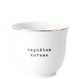 Bella Rose Porcelánový obal na květináč Zapúšťam korene 10 cm - SK, bílá barva, zlatá barva, porcelán