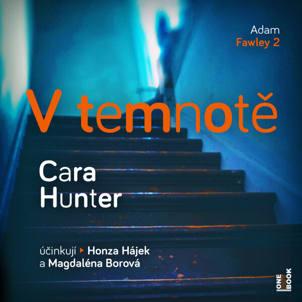 V temnotě - Cara Hunterová - audiokniha