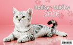 Stolní kalendář 2026 Helma - Kočky