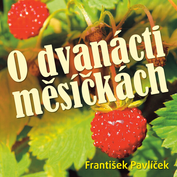 O dvanácti měsíčkách - Božena Němcová - audiokniha