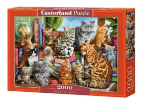 Castorland 200726 Kočičí dům