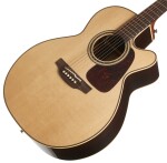 Takamine P5NC