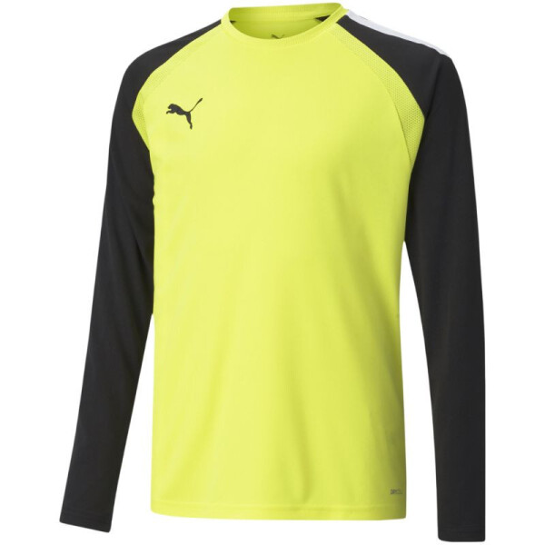 Brankářská mikina Puma teamPacer GK LS Jersey Jr 704939 42