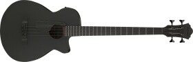 Ibanez AEGB420 BOT