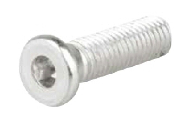 Strong upevňovací šroub (82563)