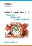 What tumors teach us