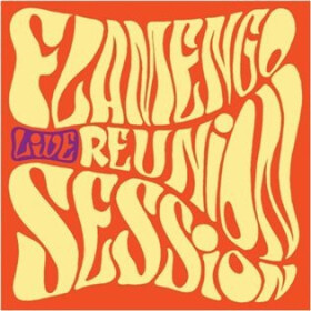 Live - LP - Reunion Session Flamengo