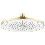 REA - Kulatá dešťová sprcha JS-021 Gold Brush REA-P0391