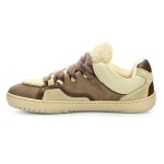 Shapen Teddy Brown