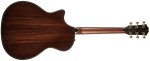 Taylor Builders Edition 914ce