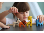 PlanToys PlanToys Set - Divoká zvířata