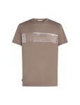 Pánské merino triko s krátkým rukávem ICEBREAKER Mens 150 Tech Lite SS Tee Elevation Line, Porcini velikost: L