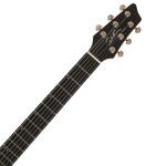 Godin A 6 ULTRA Extreme Koa HG