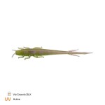 Zeck Gumová nástraha BA Shaky Sneaker 8cm 9ks - Dark Goby,Zeck Gumová nástraha BA Shaky Sneaker 8cm 9ks - Dark Goby