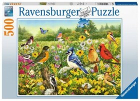 Ravensburger Ptačí louka