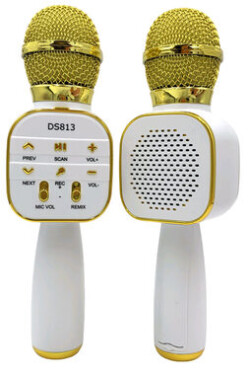 Eljet Karaoke mikrofon Star zlatá (8594176639970)
