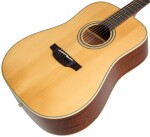 Takamine GD20-NS