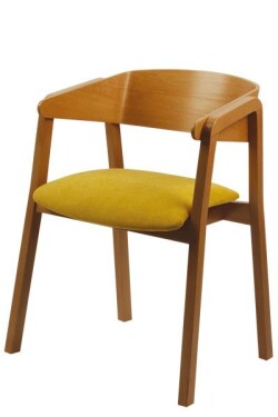 BRADOP Jídelní židle MIRIAM Z151 BRA-Z151-ZIDLE