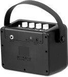 Caline CA-300B