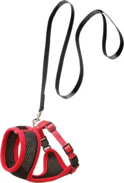 Flamingo Postroj a vodítko pro kočky černá/červená L (FLA-1031367)