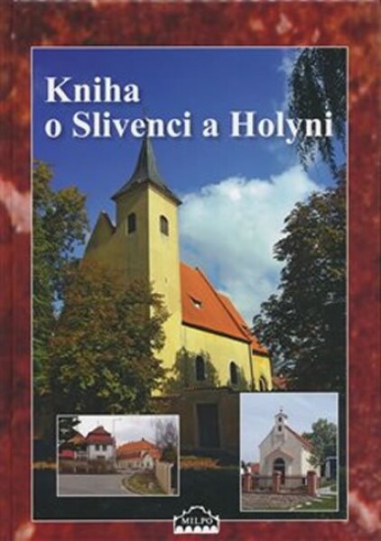 Kniha Slivenci Holyni kolektiv autorů