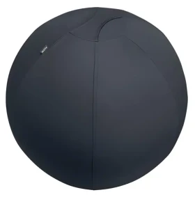 Leitz Ergo šedá / Gymnastický míč / O 75 cm / nosnost 150 kg (65430089)