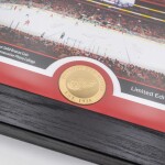 Obraz Detroit Red Wings NHL 11-Time Stanley Cup Champions Bronze Coin